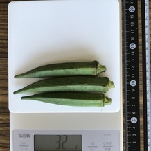 オクラ 32g