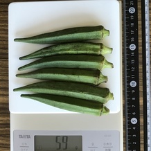 オクラ 59g