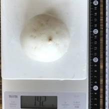 かぶ 142g