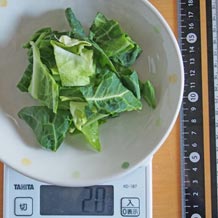 キャベツざく切り20ｇ