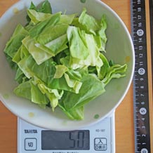 キャベツざく切り50g