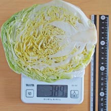 キャベツ半カット(小サイズ)