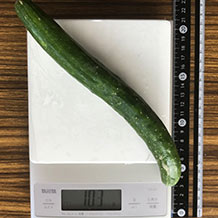 きゅうり1本 103g