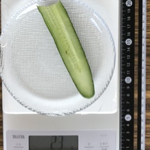きゅうり 23g