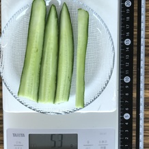 きゅうり 53g