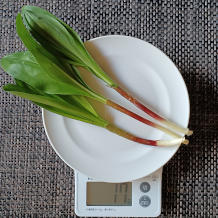 行者にんにく 2