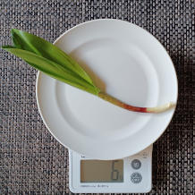 行者にんにく 3