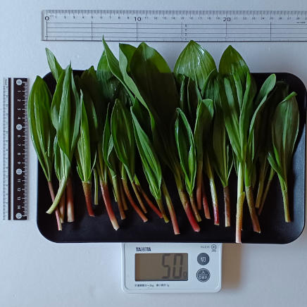 50g(可食部45g)の行者にんにく
