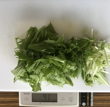 水菜 41g