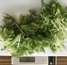 水菜 86g