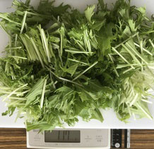 水菜 117g