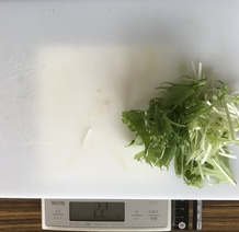水菜 22g