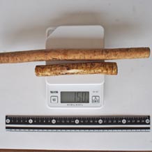 太身のごぼう30cm1本と25cm1本