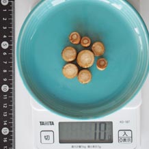 ごぼう小口切り1cm10g