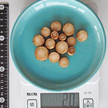 ごぼう小口切り1cm20g