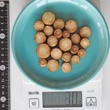 ごぼう小口切り1cm30g