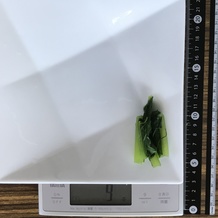 茹でた小松菜 9g