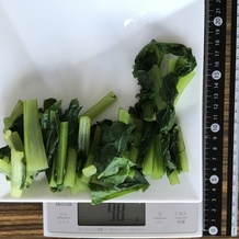 茹でた小松菜 98g