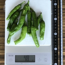 ししとう (へたあり) 48g