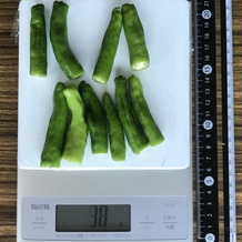 ししとう10本 38g