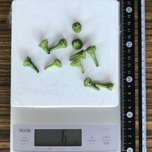 ししとうのへた 6g