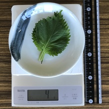 シソ 4g