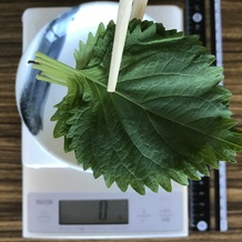 シソ カロリー計算 栄養成分 カロリーslism