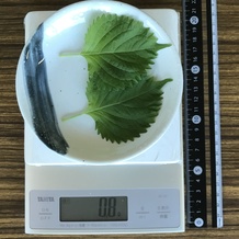 シソ2枚 0.8g