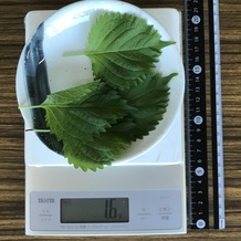 シソ4枚 1.6g