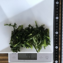 茹でた春菊 49g