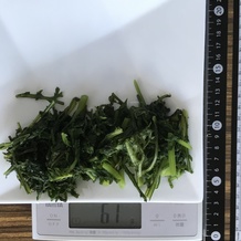 茹でた春菊 61g