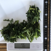 茹でた春菊 76g