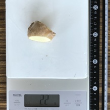 しょうが 22g