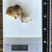 しょうが 65g