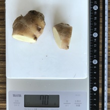 しょうが 70g