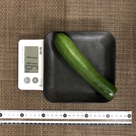 1本分のズッキーニ