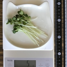 かいわれ大根 5g