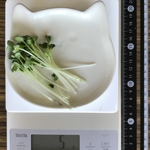 かいわれ大根 5g