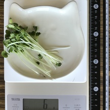 かいわれ大根 6g