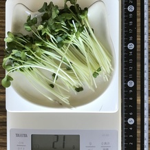 かいわれ大根 21g