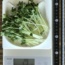 かいわれ大根 29g