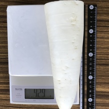 大根 429g