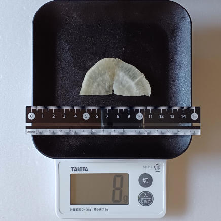 8gの大根糠漬け(1/2カット)