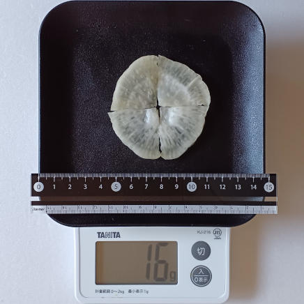 16gの大根糠漬け(1枚)