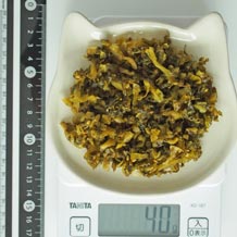 高菜漬 40g