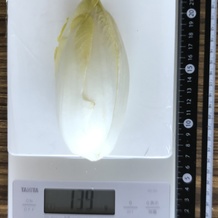 チコリー 139g
