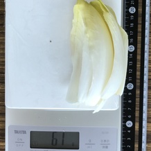 チコリー 61g