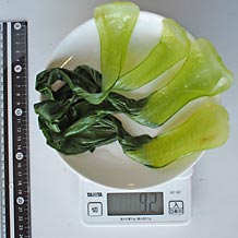 茹でたチンゲンサイ葉4枚