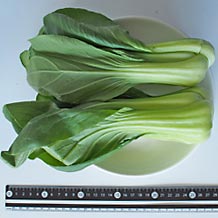 スーパーの1パック