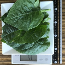 ツルムラサキ 53g